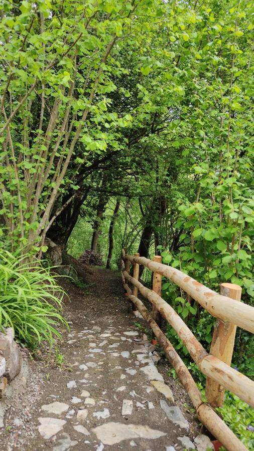 La Casetta Di Musita Brembilla ภายนอก รูปภาพ